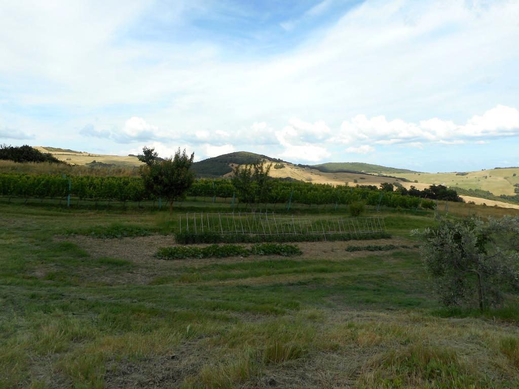 Agriturismo Santa Bruna Volterra Exterior photo
